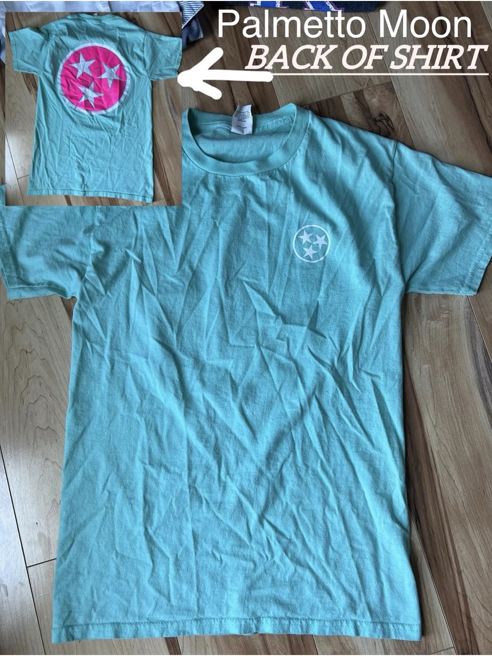 Palmetto Moon Short Sleeve Tee in Aqua with Pink Back Logo